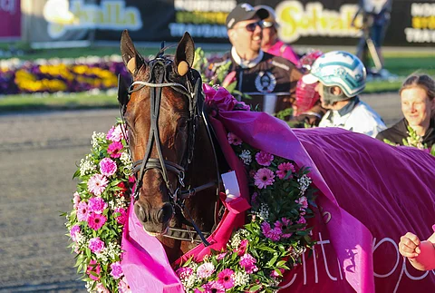 Tuore Elitloppet-voittaja Propulsion on voittanut UET Trotting Mastersin kahdesti. Kuva: Anu Leppänen