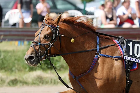 Ponnen Aatos on toivemerkki Valtroksin kaverina.