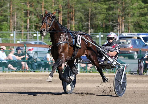President Lindyn lauantainen Kajaanin startti jäi viimeiseksi Antti Ojanperän tallista käsin.