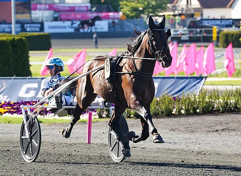 Propulsion on ollut raviurheilun puheenaihe jo pitkään.