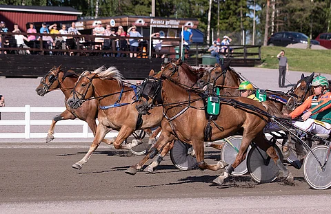 Rokin Maxi paransi 13-vuotiaana tasoitusennätystään peräti 2,1 sekuntia. Pitkään johtanut Hetviina ja ulkoa kirinyt Tähen Toivomus tulivat maaliin samassa rintamassa.
