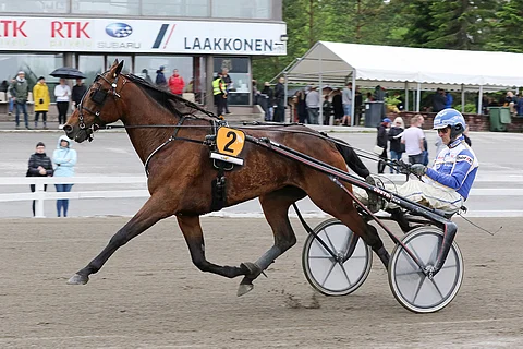 Next Direction ei ollut viimeksi Killerin Eliitissä parhaimmillaan. Festivaali-ajoon se lähtee kirkastamaan viimevuotista kakkossijaansa.