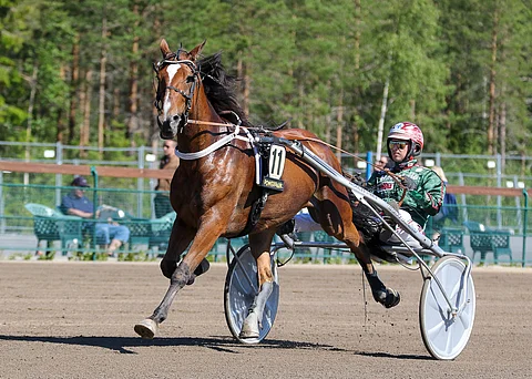 Hannu Torvinen on kokenut Zeus Kempin kanssa radoilla paljon.