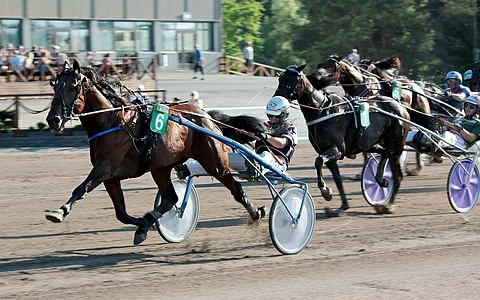 Le Gross Bill oli keulaan päästyään suvereeni.