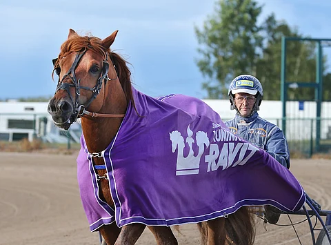 A.T. Veeti viimeisteli kuntonsa viime kesän kuninkuuskilpailuun kuninkuusravien loimilähdön voitolla heinäkuussa Seinäjoella.
