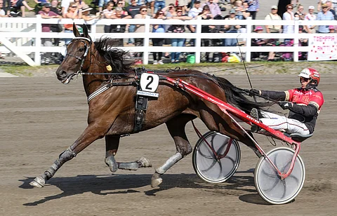 Albino Brave ja Tapio Perttunen pystyvät lyömään etukäteen paljon pelatun Prodigy Sharkin.