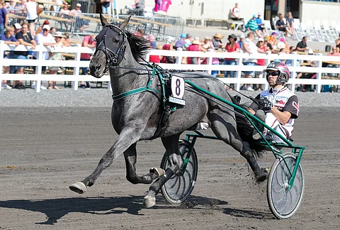 Antonio Tabac ja Mika Forss ovat Bodenin hallitsijat. Kuva: Anu Leppänen