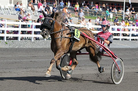 B. Violettan kilpaura jatkuu pienen tutustelutauon jälkeen Kaisa Toivosen tallista Kirkkonummelta.