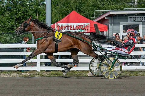 Santtu Raitala ajoi Blue Catesia viime syyskuussa, mutta Niko Jokela on huolehtinut ohjastamisesta kaikissa muissa starteissa.