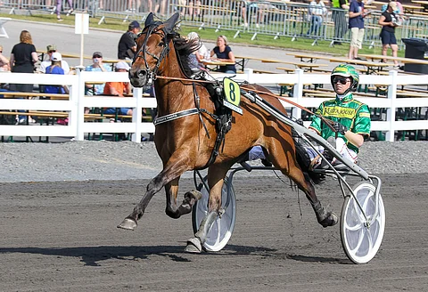 Effronte Photo kilpaili ensimmäistä kertaa etukengittä. Arkistokuva: Anu Leppänen