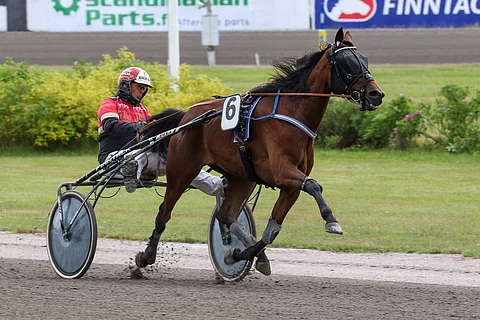 First Class Lady toipuu hyvää vauhtia suolitukoksesta, joka olisi voinut olla kohtalokas, ellei sitä olisi huomattu ajoissa.