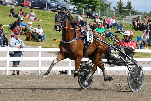 First Class Lady on nelivuotiaiden tammojen ehdotonta eliittiä. Kuva Suur-Hollola-sunnuntailta Lahdesta.