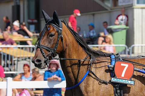 It's Raining Men etenee johtoon ja voittaa viidennen kohteen.