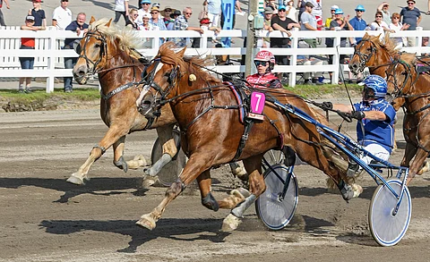 Lakuri voitti 13 uransa 71 startista ja oli yhteensä 43 kertaa kolmen parhaan joukossa.