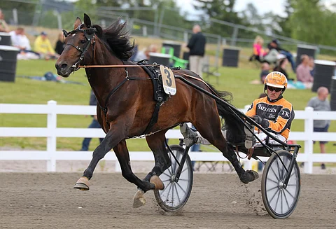 Tommi Kylliäinen ohjasti One Directionia Suur-Hollola-ajon finaalissa, mutta Porissa rattaille hyppää Iikka Nurmonen.