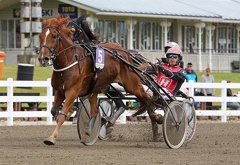 Suur-Hollola-viikonloppuna tammojen mailin voittanut Ryti-Tyttö lunasti paikkansa kunkkarirankingin kolmantena. Kuva: Anu Leppänen