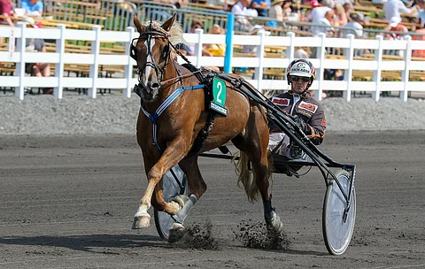 Tvitterin suoritustaso on ailahdellut, ja esitysten tasaantumista haetaan nyt "orivapaasta" pikkutallista.
