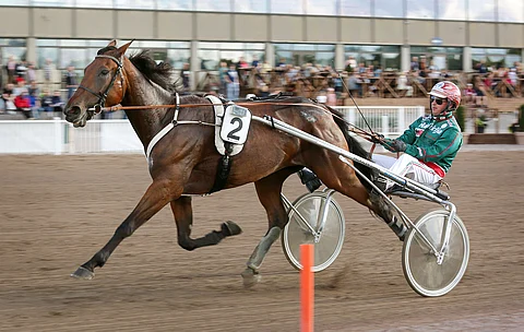 Kuvan The Breeze on kiinnostava haastaja toisen kohteen suursuosikille.