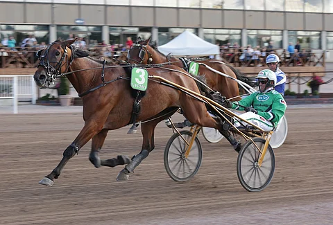 Valiant Dream voitti viime kaudella viidesti ja tienasi komeat 55 000 euroa.