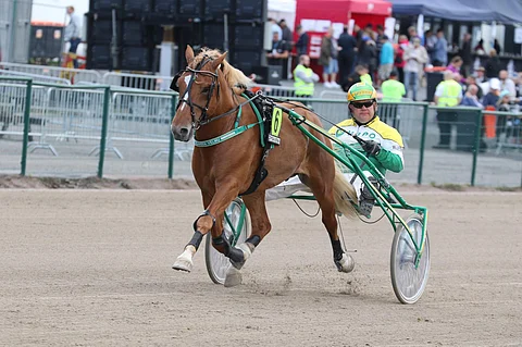 Teemu Okkolinin valmentama ja ohjastama Vilkkeen Velmu ei ole vielä tänä vuonna jäänyt ilman totosijaa. Kuva: Anu Leppänen