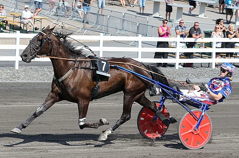 Quite Special kilpaili viime syksyyn asti Harri Koivusen tallista Suomessa ja jatkaa nyt uraansa Hanna Lähdekorvelta Ruotsissa.