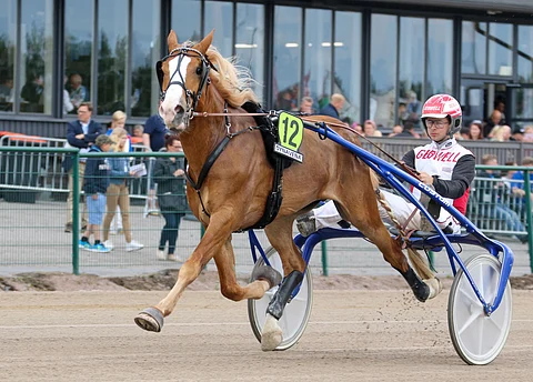 Stallone osoitti Jokimaalla palanneensa tasolleen ja katkaisi kilpakumppaninsa hurjan voittoputken.