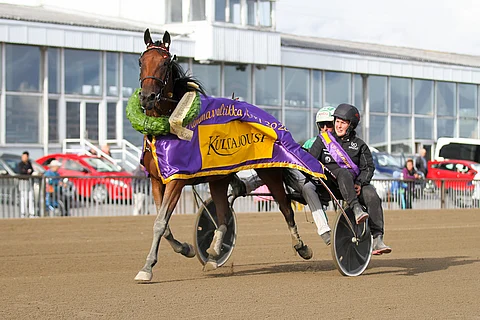 Tammavaltikka ratkeaa tänään. Willow Pride on hieno ideavarma kisaan. Kuva: Roosa Lindholm