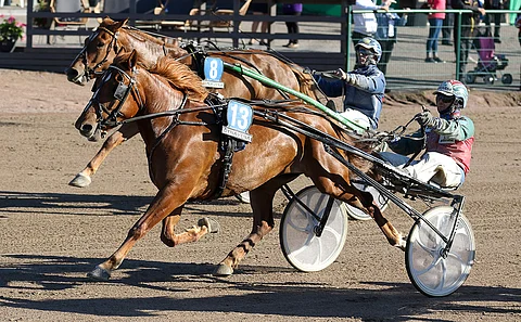 Viksun Lilja on ensimmäinen ideavihjeen kolmesta varmasta.