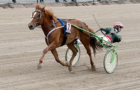 Hannu Torvinen kiidätti Virin Camillan kuningattareksi.