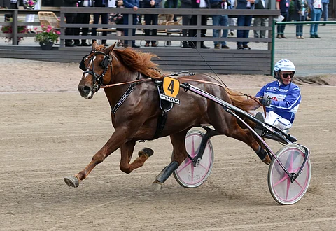 Vixuksen paluu radoille jää odottamaan kuivempia kelejä.