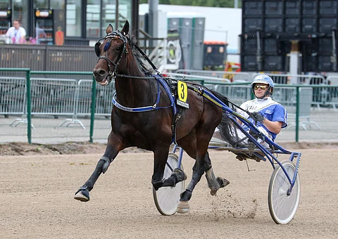 Whogonow on saattaa aloittaa jackpot+-kierroksen jyräämällä ykköseksi. Kuva: Anu Leppänen.