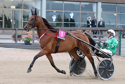 Willow Pride lähtee lauantain toiselle osamatkalle kasikaistalta.
