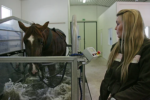 Laura Biskopin hevoskuntolassa oli palon syttyessä kuntoutuksessa 10 hevosta.