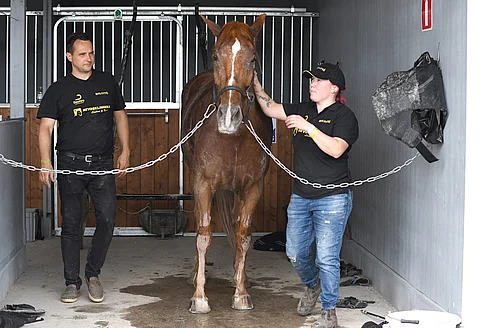 Olli-Matti Porolan valmentamalta ja Johanna Sokan hoitamalta Ryti-Tytöltä kuningatarkilpa jäi kesken.