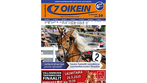 Kohti tammakilvan finaaleja