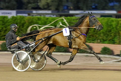 Le Gros Bill pystyy johtamaan lähdöstä maaliin.