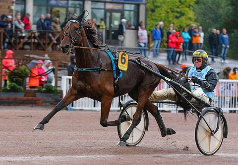 Juha Utalan valmentaja ja ohjastama Piece Of Glory on tasaisesti pelatussa Toto65-4:ssä hyvä varma.