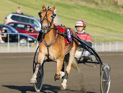 Suven Sametin kausi jatkuu pian normaalisti, mikäli lääkekuuri tepsii odotetusti.