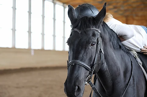 Hevosalalla on muiden lajien tapaan ikäviä lieveilmiöitä. Kuvituskuva: Mostphotos