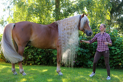 Säämies ja Leinosen Anne.