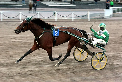 Believe Your Dreamin ura jatkuu Pohjois-Ruotsista käsin, mutta Suomen puolellakin sitä varmasti nähdään.