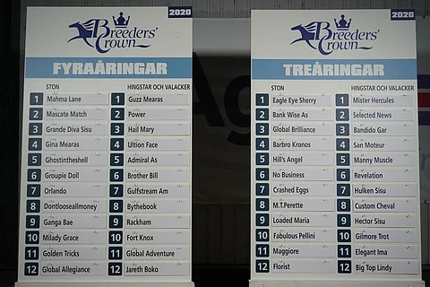 Breeders' Crown finaalien lähtöradat. Kuva: ATG Live