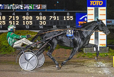 Ari Moilasen ajama Ready Cashin poika Consalvo häikäisi Kouvolassa torstai-iltana. Kuva: Jari Heikkinen.