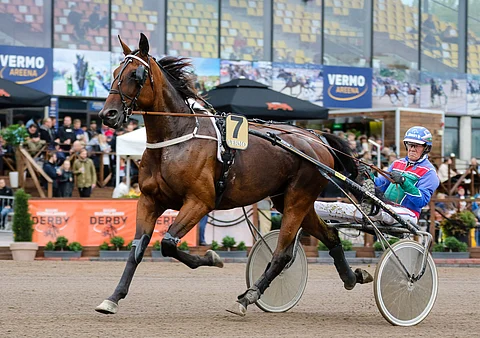 Flexible Journey juoksi Juha Utalan tallista 30 starttia totosijoin 7-4-4 ja tienasi 34 215 euroa.