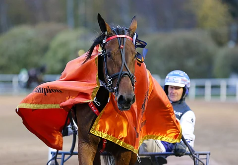 Mascate Matchin superkausi päättyi jännevammaan.