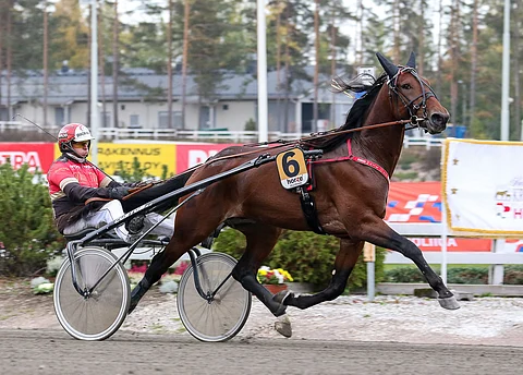 Mask Off starttaa kakkosradalta oriiden ja ruunien finaaliin.