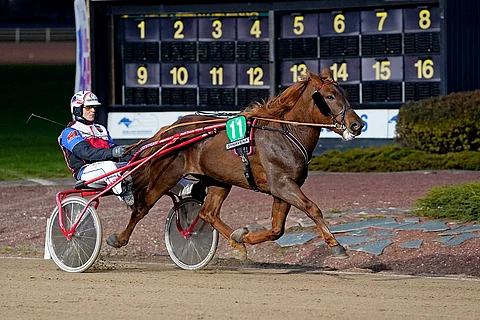 Matteus Kevätön otti uransa avausvoiton selvällä marginaalilla Varsakunkku-finaalissa. Kuva: Kirsi Kantokoski