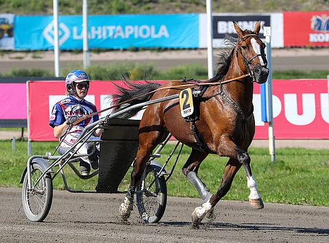 Vincennesissä maanantaina kilpaileva Sobel Conway on Conway Hallin ruotsalainen poika. (Kuva: HU arkisto)
