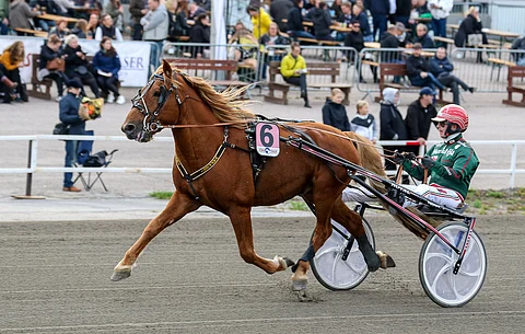 Jalkaoperaatiossakin käynyt Vapperi palaa lähes seitsemän kuukauden tauolta ensi tiistaina Mikkelissä rattaillaan luottokuski Hannu Torvinen.
