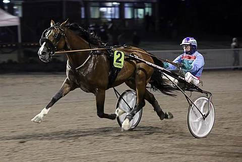 Kari Rosimon kuskaama Always Ready irtosi selvään voittoon.